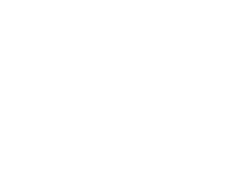 White logo for Smart Power Electric